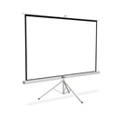 Qian PANTALLA PROYECCION QIAN DIBAN QPD-69603 TRIPIE 120 BLANCA MATE