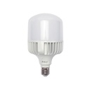 Epcom Foco LED para Alumbrado en Interior / Luz Fría / 100 W / 10000 lúmenes / 50000 hrs / Ángulo de Iluminación 240°