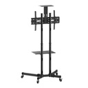 Ovaltech Soporte de Piso Móvil para TV OVALTECH OVTV-CA3770