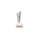 Hikvision Digital Technology Arnés  principal para Doorbell Serie DS-KV6113WPE1(C) / Compatible con versiones A, B y C