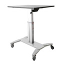 StarTech.com ESTACION DE TRABAJO MOVIL PIE Y SENTADO ALTURA AJUSTABLE