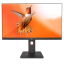 Qian ALL IN ONE QIAN 27" CI5, 16GB, 512GB, W11 PRO TRIAL + T/M (QZI-27515-KW)