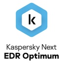  KASPERSKY KL4066ZARFS