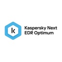  KASPERSKY KL4066ZAKFS