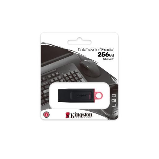 [KINGSTONTECHNOLOGY_DTX/256GB] Kingston technology Memoria USB