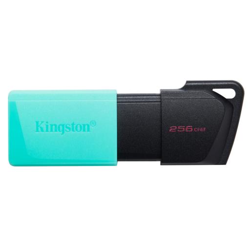 [KINGSTONTECHNOLOGY_DTXM/256GB] Kingston technology Memoria USB