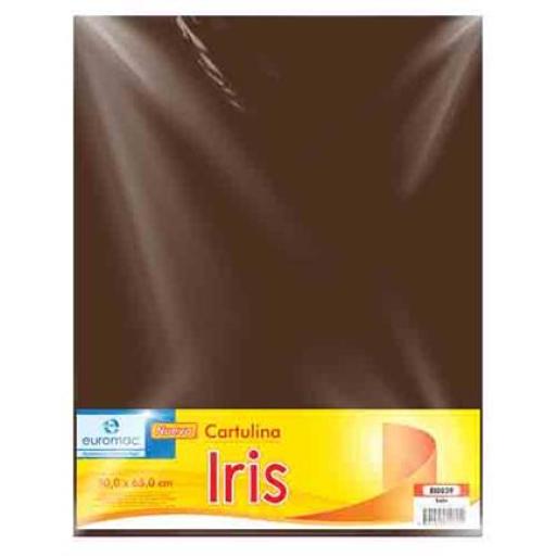 [EUROMAC_EI0039] Euromac CARTULINA EUROMAC IRIS CAFE 50X65CM C/10