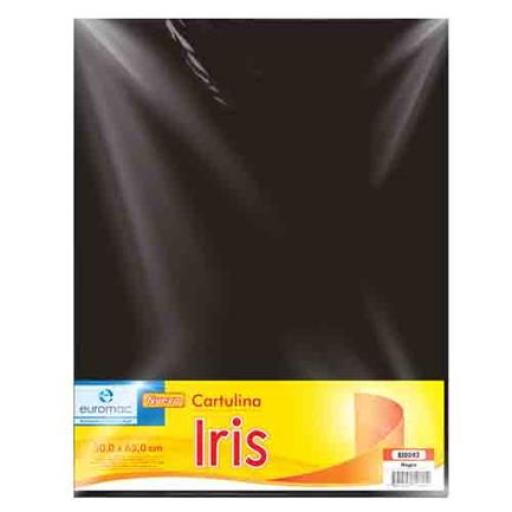 [EUROMAC_EI0042] Euromac CARTULINA EUROMAC IRIS NEGRO 50X65CM C/10
