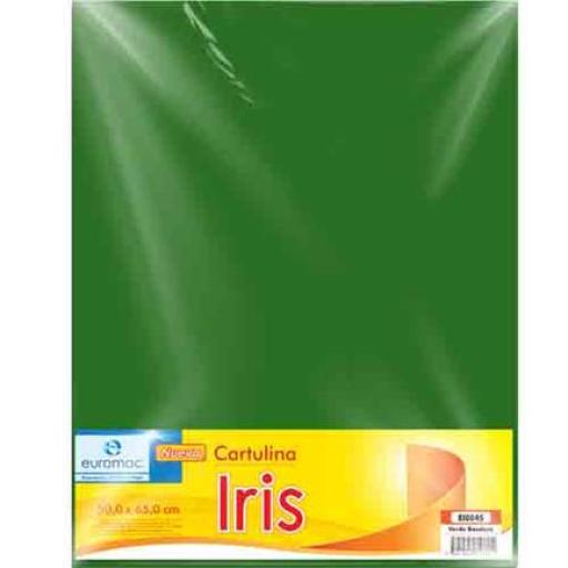 [EUROMAC_EI0045] Euromac CARTULINA EUROMAC IRIS VDE BANDERA 50X65 C/10