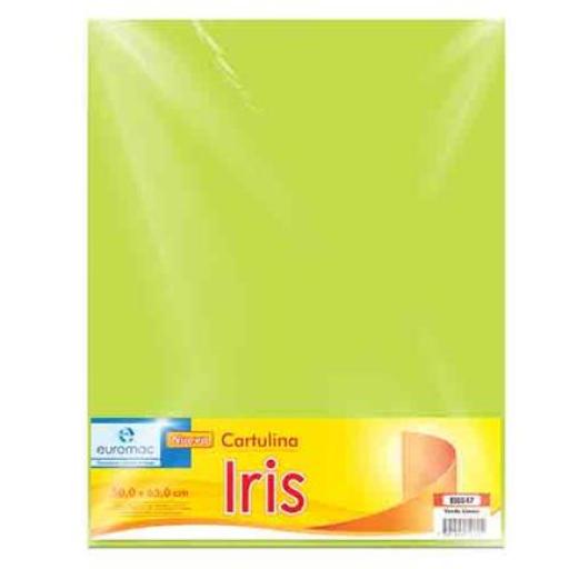 [EUROMAC_EI0047] Euromac CARTULINA EUROMAC IRIS VERDE LIMON 50X65 C/10
