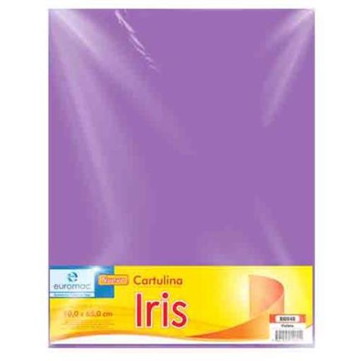 [EUROMAC_EI0048] Euromac CARTULINA EUROMAC IRIS VIOLETA 50X65CM C/10