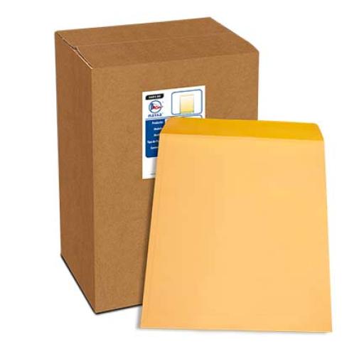 [NASSA_IA0130] NASSA  SOBRE BOLSA KRAFT NASSA RADIOGRAFÍA 90 KG 40X50 PQ250