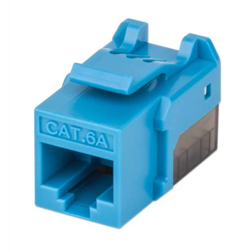 [INTELLINET_772334] Intellinet Jack Intellinet Keystone Cat6a de Impacto UTP Color Azul