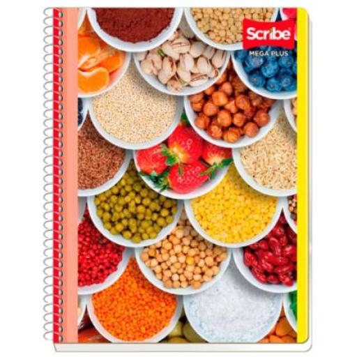 [SCRIBE_7510] Scribe Cuaderno Scribe Profesional Mega Raya 100Hojas