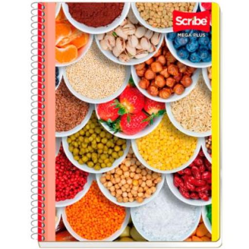 [SCRIBE_7512] Scribe Cuaderno Scribe Profesional Mega C5 100H
