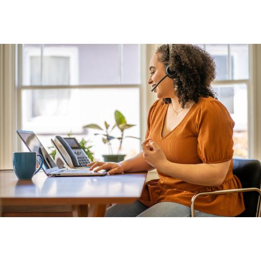[HP_77Z30AA] HP POLY VOYAGER 4320 MICROSOFT TEAMS CERTIFIED USB-C HEADSET BT700