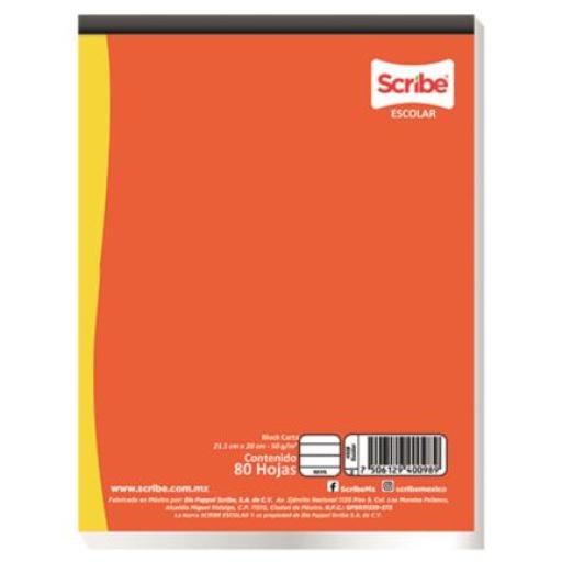 [SCRIBE_4552] Scribe Block Pegado Scribe Profesional C5 Cuadro Chico 80 Hojas